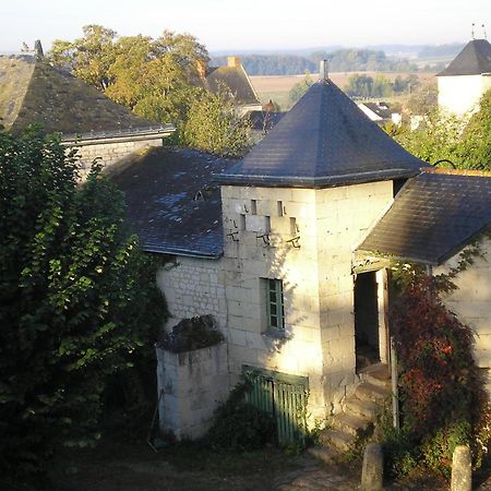 Bed and Breakfast Manoir De Boisairault Le Coudray-Macouard Exterior foto