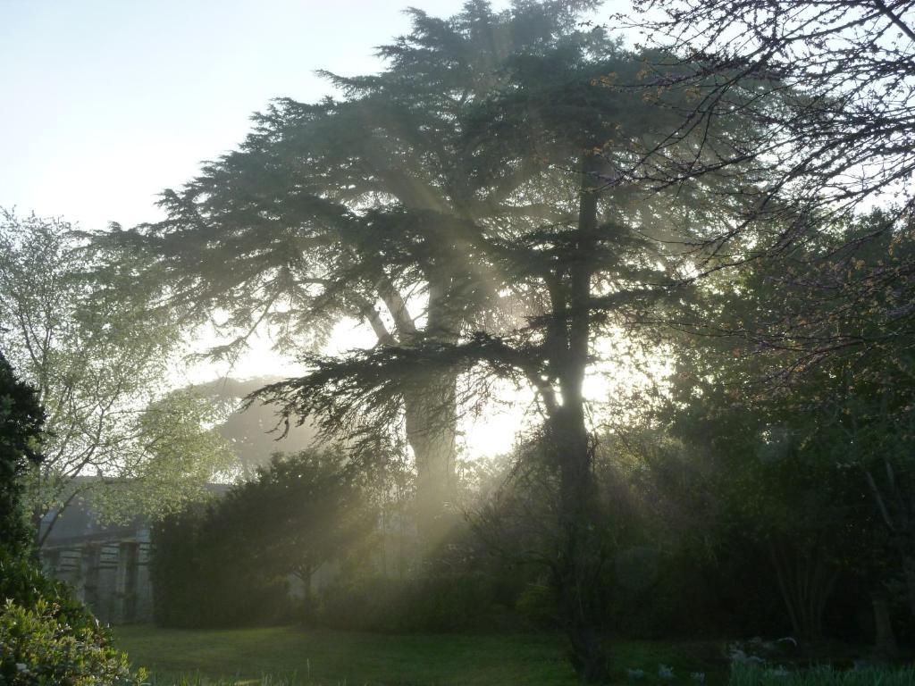 Bed and Breakfast Manoir De Boisairault Le Coudray-Macouard Exterior foto