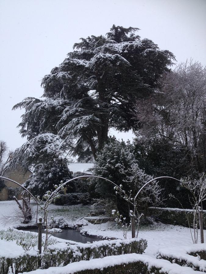 Bed and Breakfast Manoir De Boisairault Le Coudray-Macouard Exterior foto